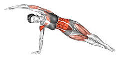 Side Twist exercise demonstration for Waist, Body weight