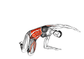Mermaid exercise demonstration for Waist, Body weight