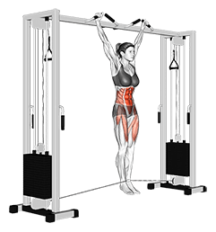 Cable Hanging Leg Raise exercise demonstration for Waist, Cable