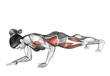Front Plank to Push up exercise demonstration for Waist, Body weight