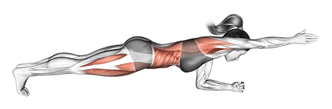 Front Plank with Arm Lift exercise demonstration for Waist, Body weight