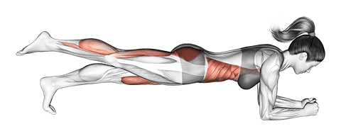 Front Plank with Leg Lift exercise demonstration for Waist, Body weight