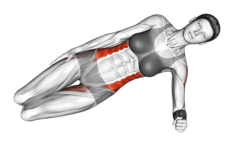 Side Plank exercise demonstration