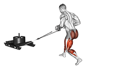 Power Sled Rear Batwing exercise demonstration