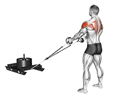 Power Sled Rear Fly exercise demonstration