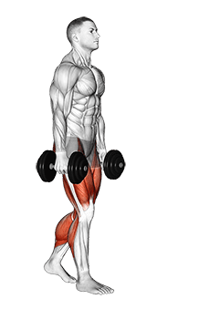 Dumbbell Farmers Carry exercise demonstration for Thighs, Dumbbell