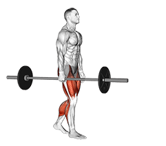 Barbell Suitcase Carry exercise demonstration for Thighs, Barbell