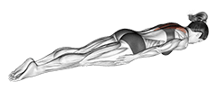 Pulse Row exercise demonstration