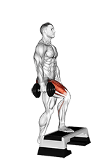 Dumbbell Single Leg Step Up exercise demonstration