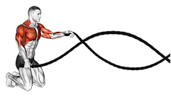 Kneeling Battling Ropes exercise demonstration for Plyometrics, Rope