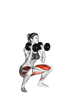 Dumbbell Front Squat exercise demonstration