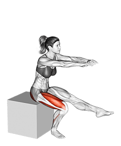 Pistol Squat to Box exercise demonstration for Thighs, Body weight