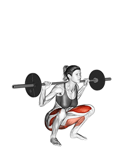 Squat mobility exercise demonstration for Quadriceps, and Thighs, Barbell