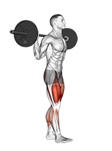 Barbell Walk Calves Activation exercise demonstration for Quadriceps, and Thighs, Barbell