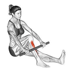 Self Anterior Calf Foam Rolling exercise demonstration