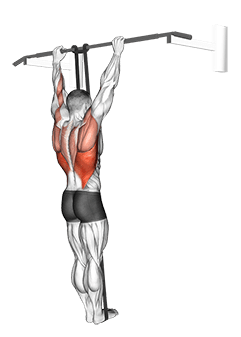 Band Assisted Pull-Up exercise demonstration