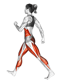 Briskly Walking exercise demonstration for Cardio, Body weight
