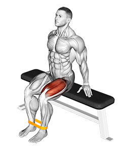 Resistance Band Leg Extension exercise demonstration for Quadriceps, and Thighs, Resistance Band