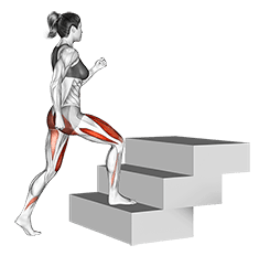 Stair Up exercise demonstration for Quadriceps, and Thighs, Body weight