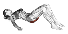 Low Glute Bridge on floor exercise demonstration for Hips, Body weight