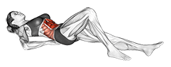 Curl-up exercise demonstration