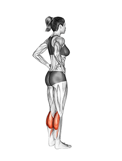 Standing Calf Raise exercise demonstration for Calves, Body weight