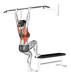 Bench Pull-ups exercise demonstration