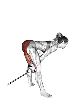 Band pull through exercise demonstration for Hips, Band