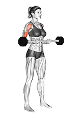 Barbell Drag Curl exercise demonstration for Biceps, and Upper Arms, Barbell