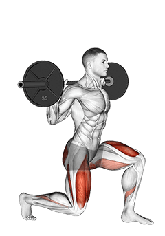Barbell Split Squat exercise demonstration