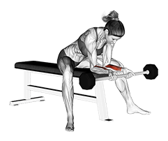 Barbell Wrist Curl exercise demonstration for Forearms, Barbell