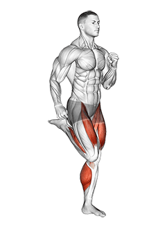Butt Kicks exercise demonstration for Cardio, Body weight