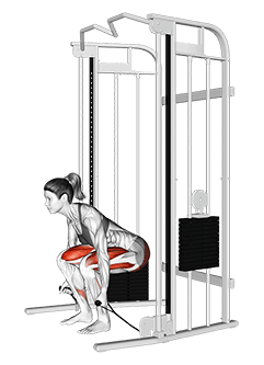 Cable Deadlift exercise demonstration for Thighs, Cable