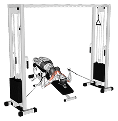 Cable Decline Press exercise demonstration