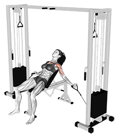 Cable Incline Fly exercise demonstration