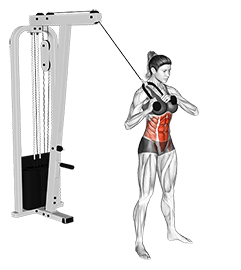 Cable Judo Flip exercise demonstration