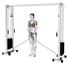 Cable Lateral Raise exercise demonstration for Shoulders, Cable