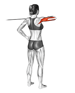 Cable Rear Drive exercise demonstration