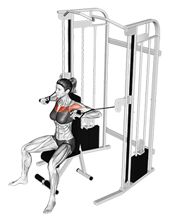 Cable Seated Chest Press exercise demonstration