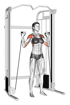 Cable Shoulder Press exercise demonstration for Shoulders, Cable