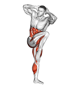 High Knee Squat exercise demonstration for Cardio, Body weight