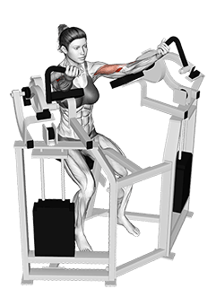 Lever Bicep Curl exercise demonstration for Biceps, and Upper Arms, Leverage machine