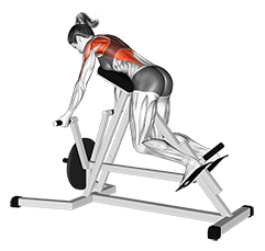Lever Reverse T-Bar Row exercise demonstration