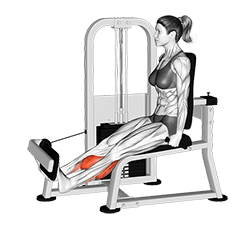 Lever Rotary Calf exercise demonstration for Calves, Leverage machine