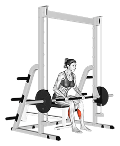 Smith Toe Raise exercise demonstration