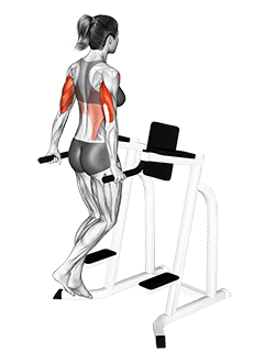 Triceps Dip exercise demonstration