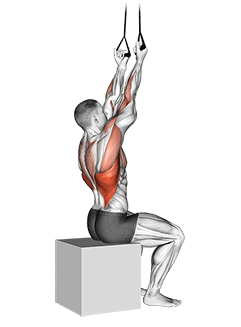 Band Fixed Back Underhand Pulldown exercise demonstration