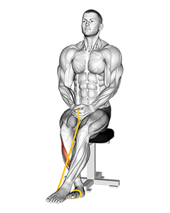 Resistance Band Foot Inversion exercise demonstration for Calves, Resistance Band