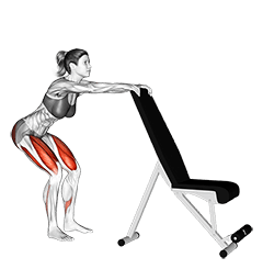 Potty Squat with Support exercise demonstration