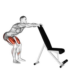 Potty Squat with Support exercise demonstration